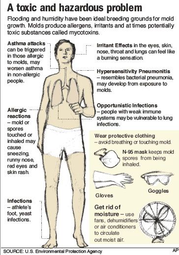 diagram of how mold affects the human body