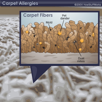 Are carpets good or bad? 4 Particles on carpet