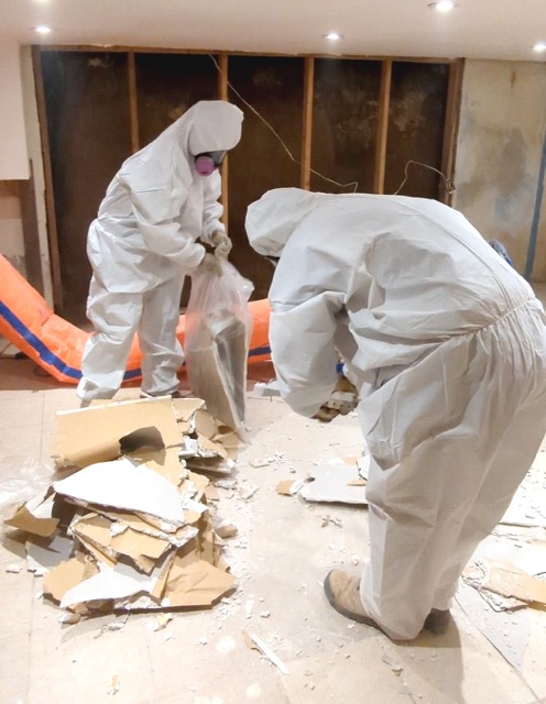 Asbestos Abatement